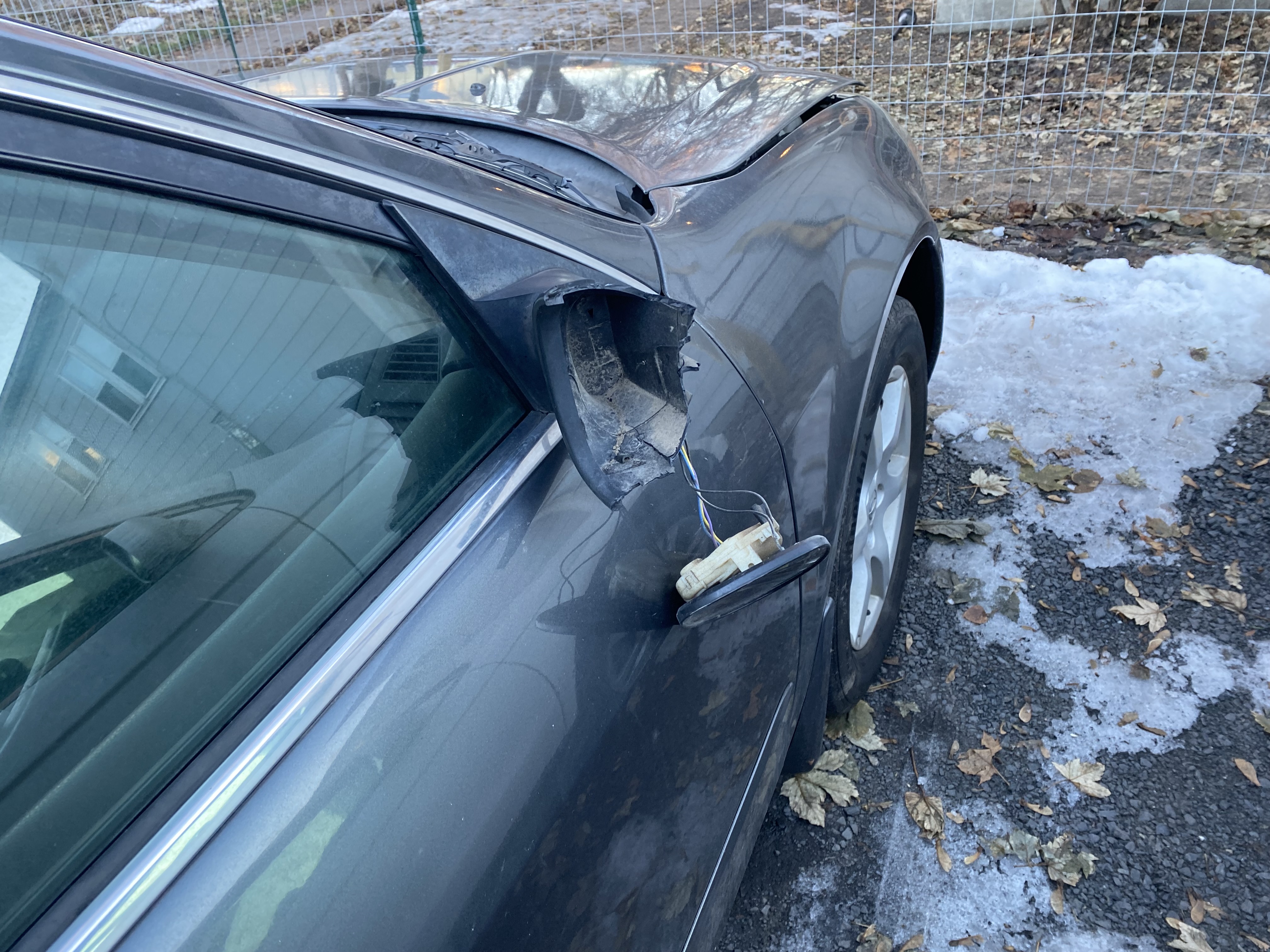 23-M00022 Accident HitRun — IMG_4815.JPG.jpg