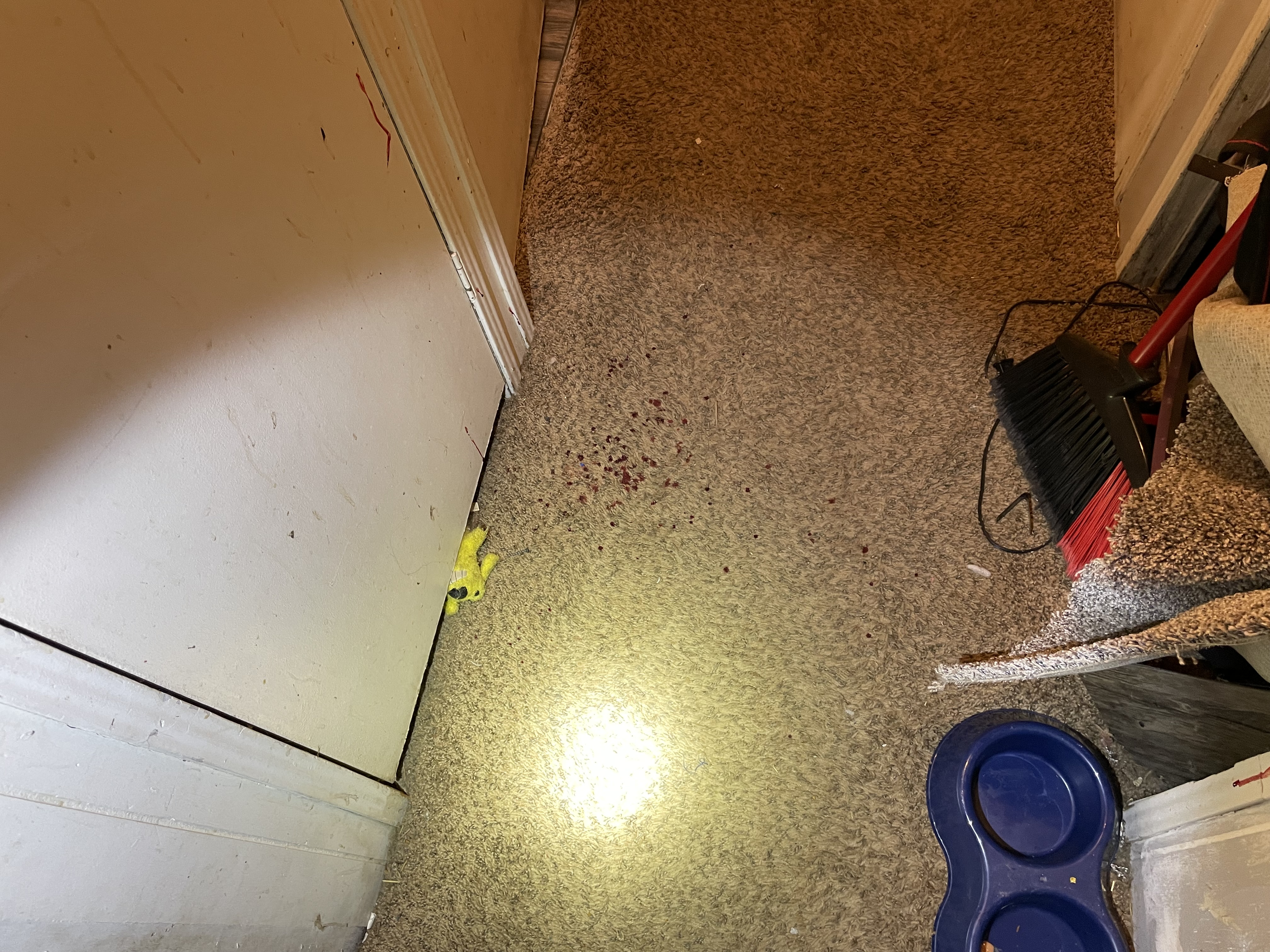 22-M10598 Domestic Dispute — blood in house (7).JPG.jpg