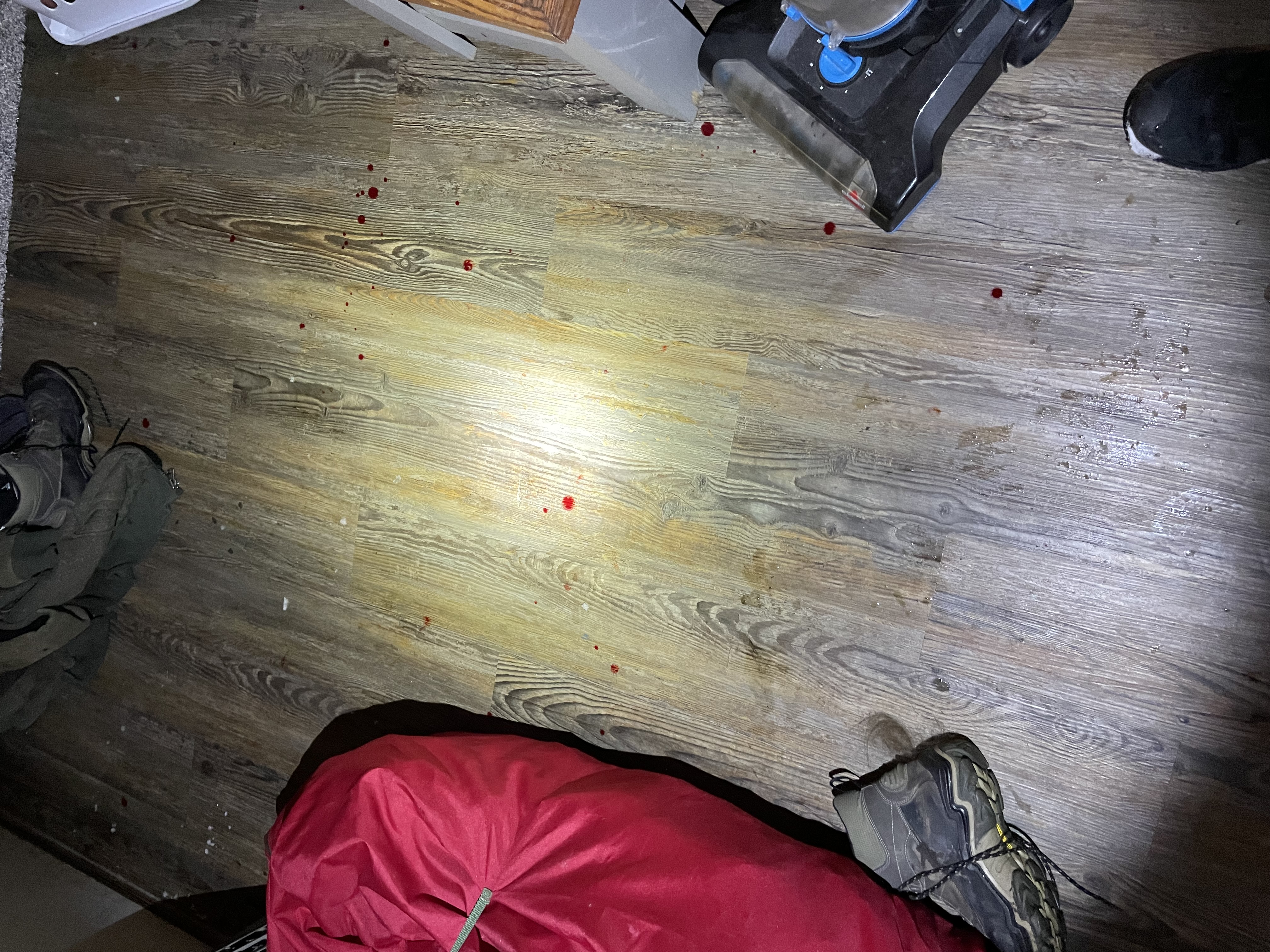 22-M10598 Domestic Dispute — blood in house (8).JPG.jpg