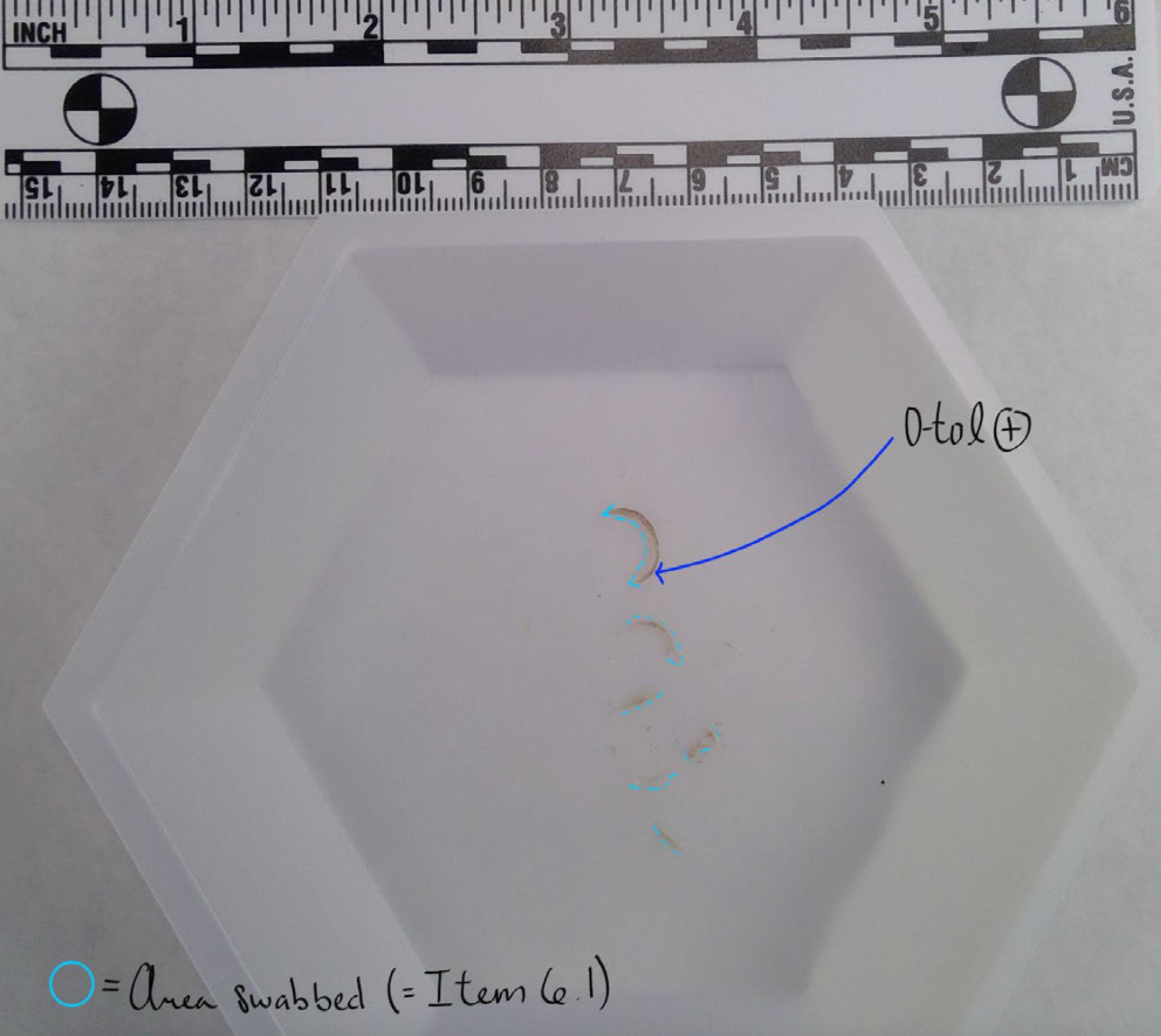 Ethan Chapin fingernail sample photograph — Ethan’s Finger Nails 