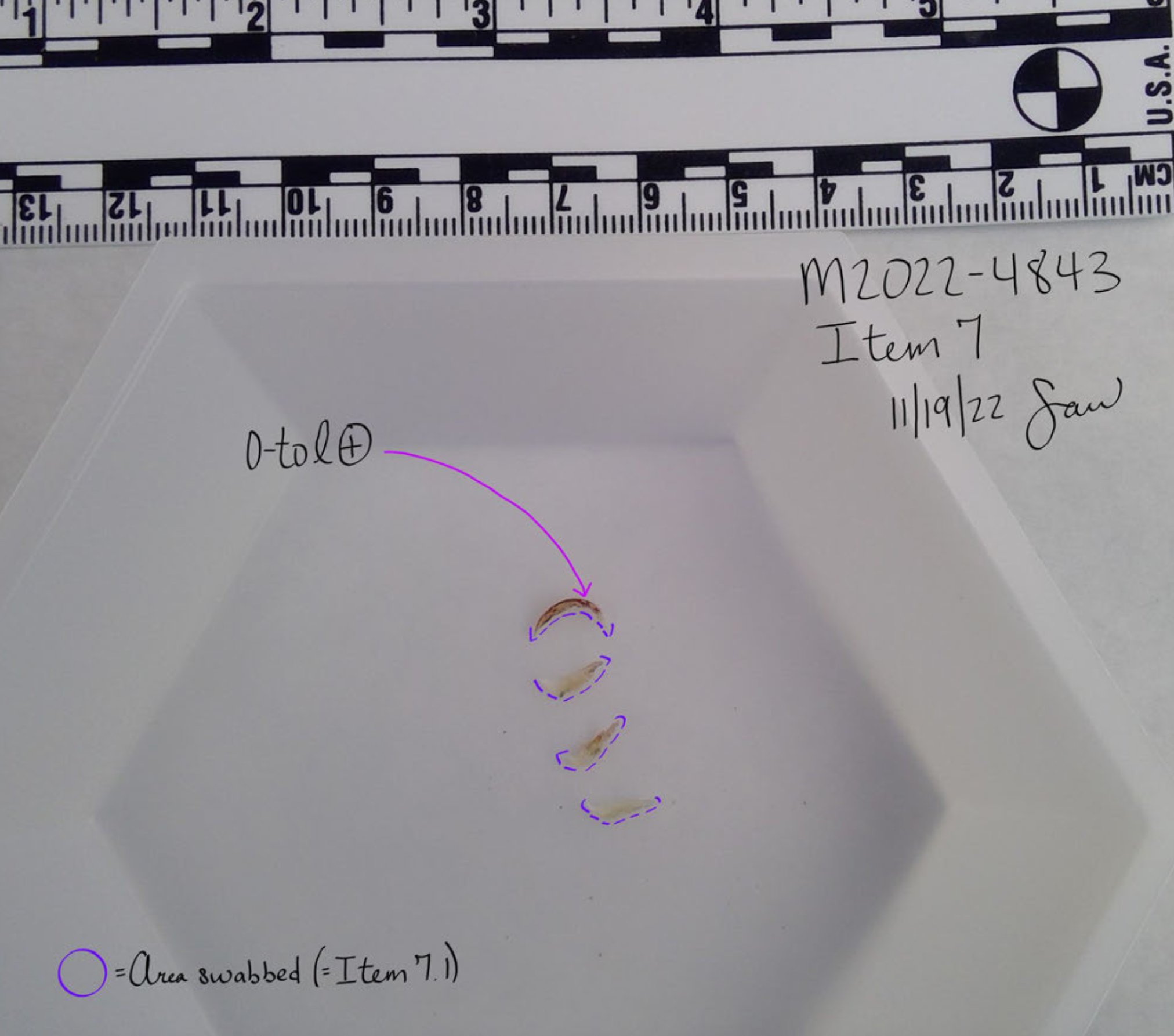 Ethan Chapin fingernail sample photograph — Ethan’s Finger Nails