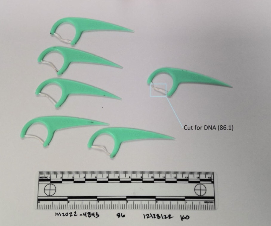 Dental floss picks photograph — IMG_3700