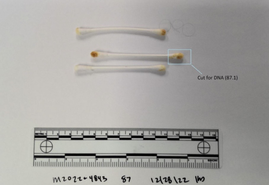Cotton swabs photograph — IMG_3701