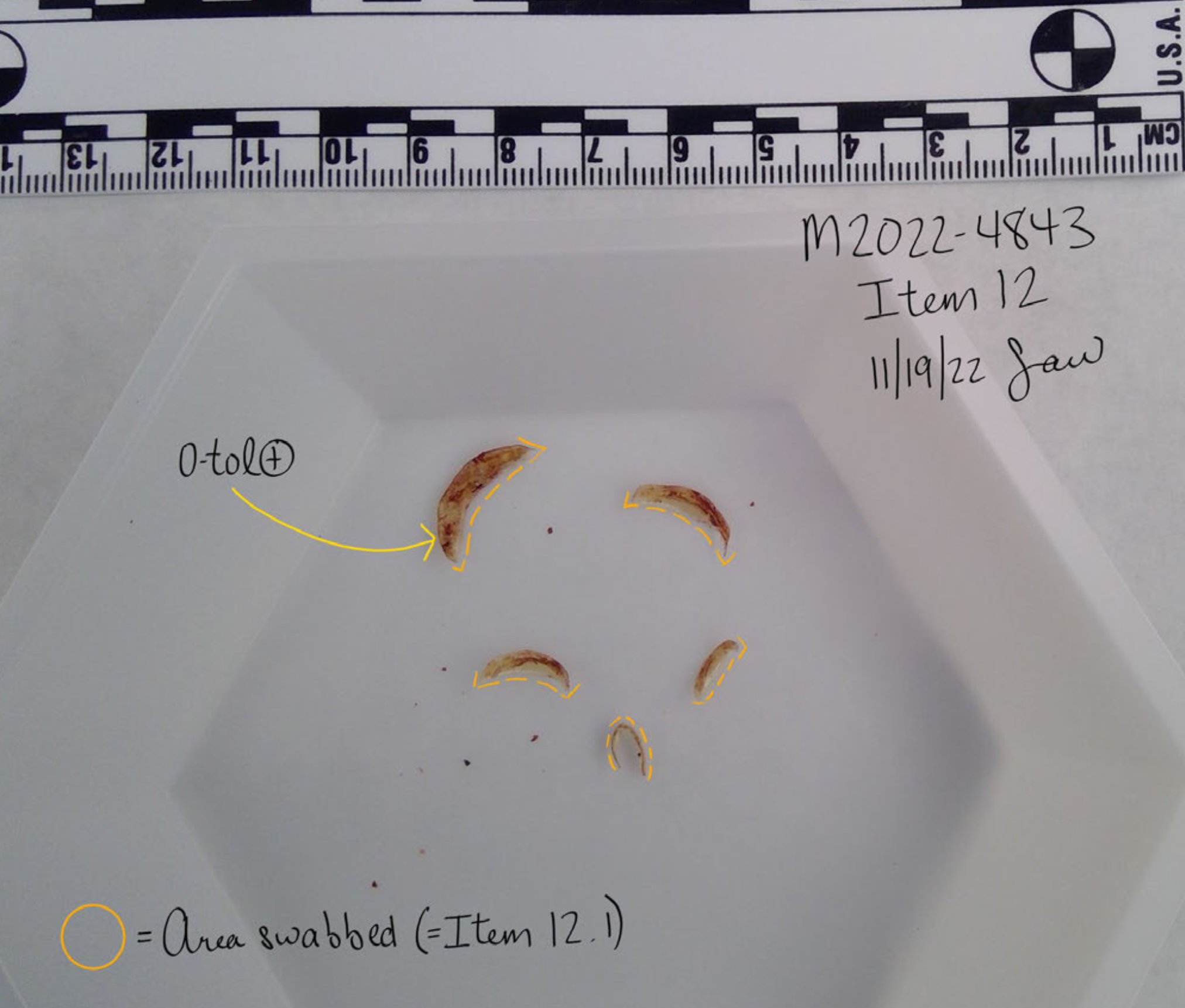 Madison Mogen fingernail sample photograph — Maddie’s Finger Nails (1)